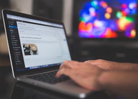 Hands typing on a laptop with a blog post visible, cozy indoor setting with colorful screen in background.